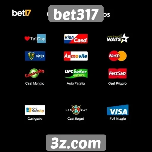 Explorando os métodos de pagamento oferecidos pela bet317